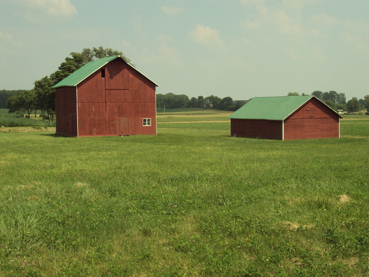 Property photo 43 - 160 Acres Offered in 6 Tracts